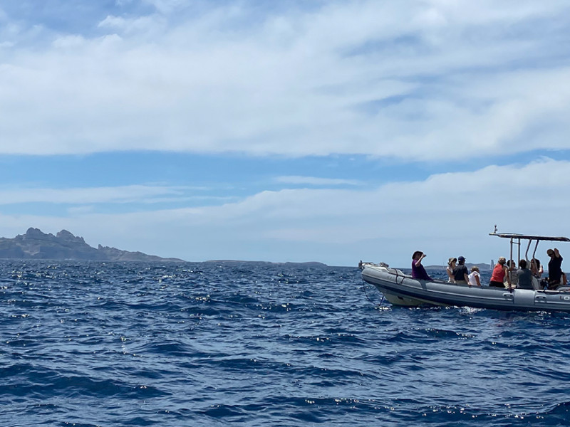 Sortie nature du Musum : voyage dans une goutte d'eau de mer